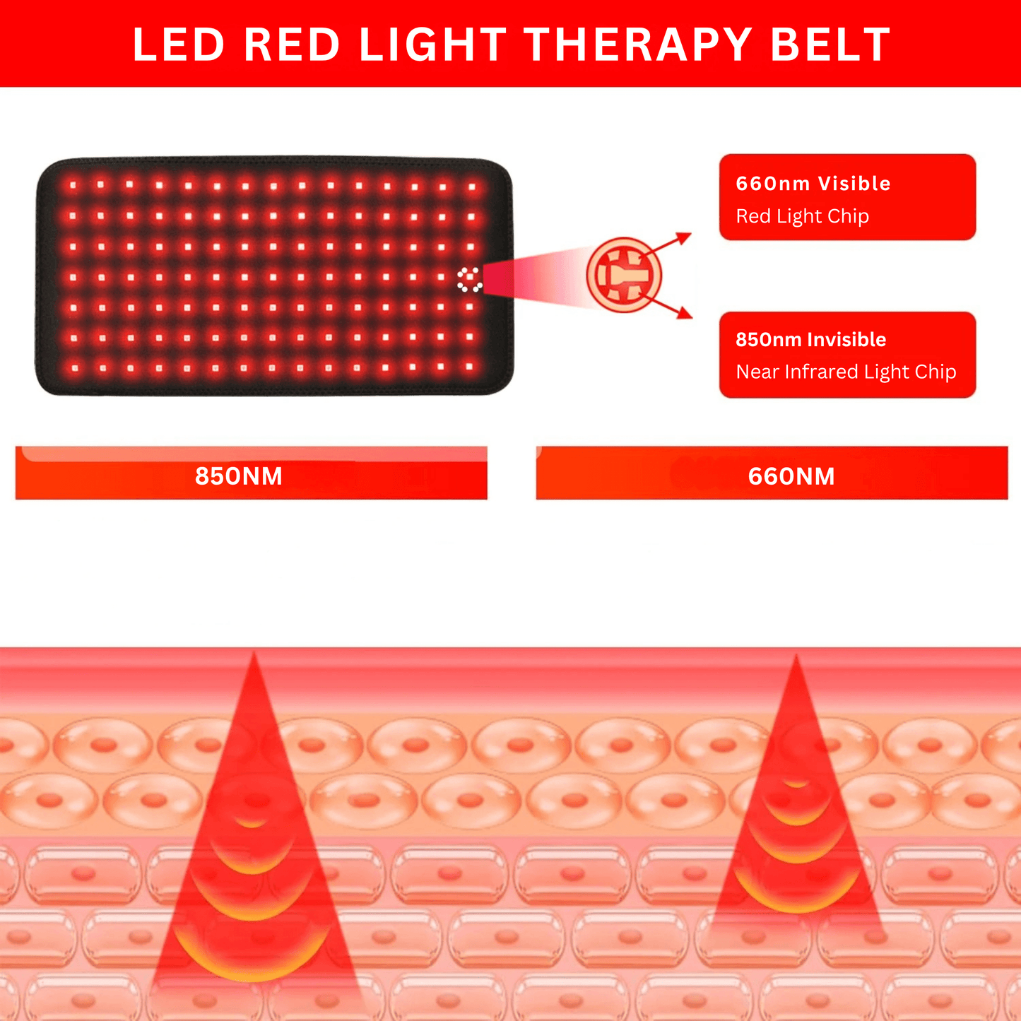 Red LED Light Therapy Belt - RELAXONIK